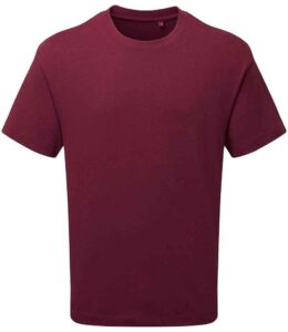 Anthem Organic Heavyweight T-Shirt